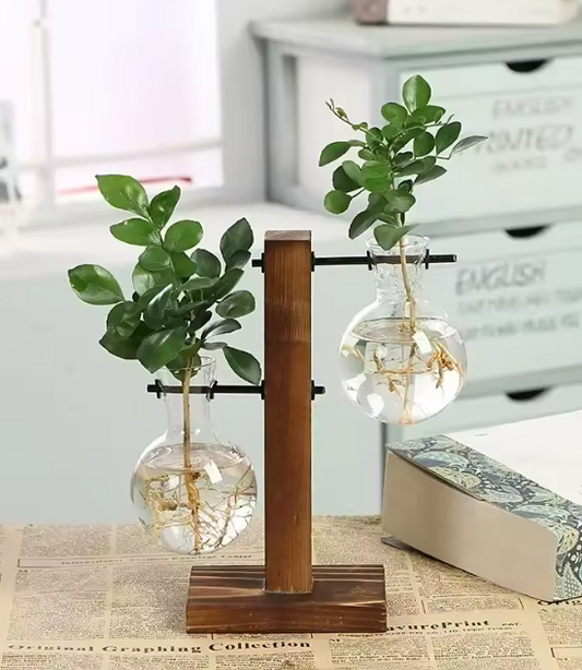 Hydroponic Glass Vase Set with Wooden Frame – Indoor Plant Propagation Kit