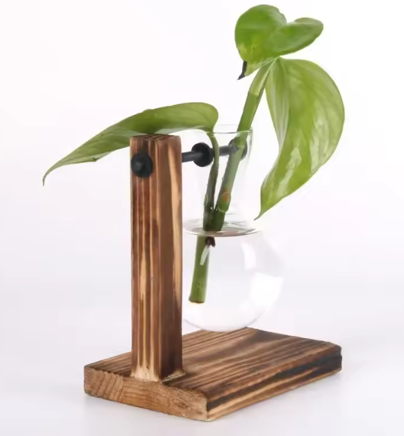 Hydroponic Glass Vase Set with Wooden Frame – Indoor Plant Propagation Kit
