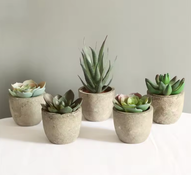 Mini Artificial Succulent Plants in Rustic Cement Pots