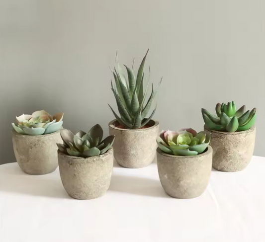 Mini Artificial Succulent Plants in Rustic Cement Pots