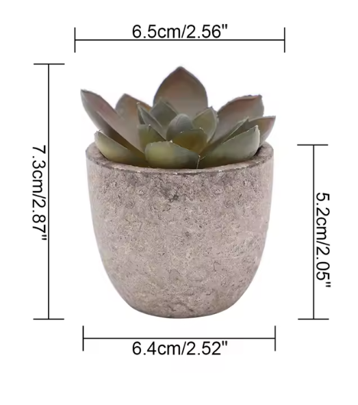 Mini Artificial Succulent Plants in Rustic Cement Pots