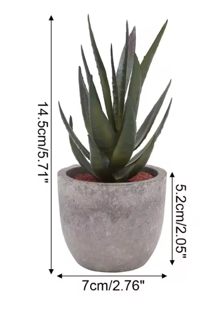 Mini Artificial Succulent Plants in Rustic Cement Pots
